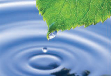 A water droplet falling from a leaf